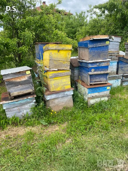 Продавам кошери , снимка 1