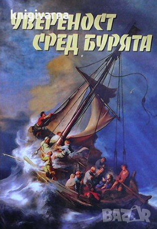 Увереност сред бурята, снимка 1