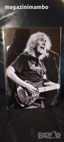 Albert Lee-метална табела (плакет), снимка 1