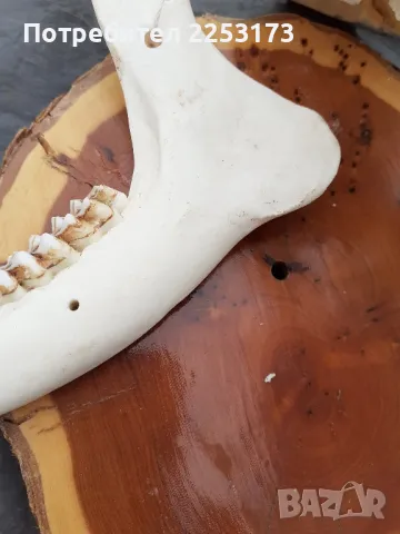 Декораций за стена с описание, снимка 5 - Декорация за дома - 48704489