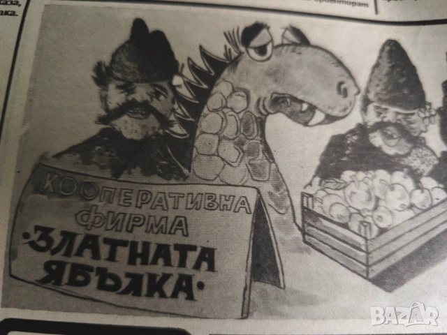 вестник " Риск " Михайловград , бр.0 /19902, снимка 2 - Списания и комикси - 51979934