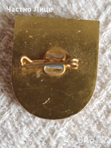 Супер Рядка Соц Значка Знак За Активна Работа в ОСО, снимка 2 - Колекции - 49879838