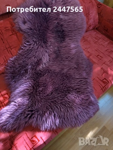 Естествена овча кожа., снимка 4 - Декорация за дома - 50928234