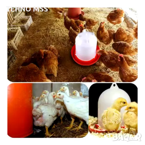 Автоматична поилка за птици W11 (К-КТ / 10 БР), снимка 1