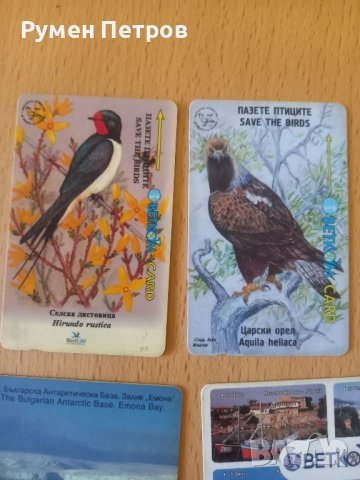 Фонокарти с магнитна лента Betkom , снимка 2 - Други ценни предмети - 51507155