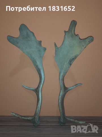 Рога от елен - Лопатар, снимка 3 - Други ценни предмети - 52829017