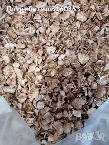 Сухи челядинки