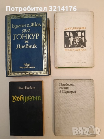 Някога в Цариград. Българска хроника - Христо Д. Бръзицов (1966)