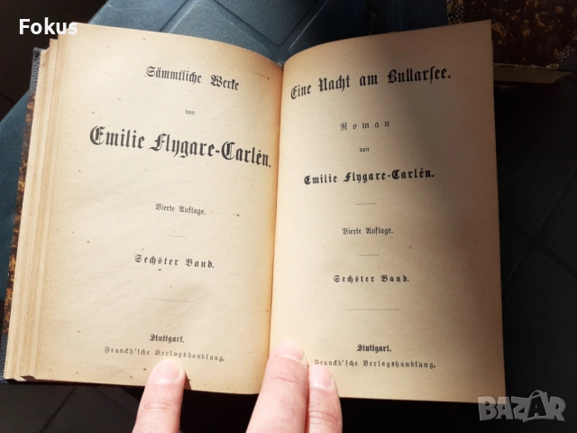 КНИГА - EMILIE FLUGARE-CARLEN - EINE NACHT AM BULLARSEE, снимка 8 - Антикварни и старинни предмети - 53486828