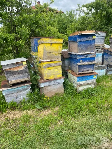 Продавам кошери 