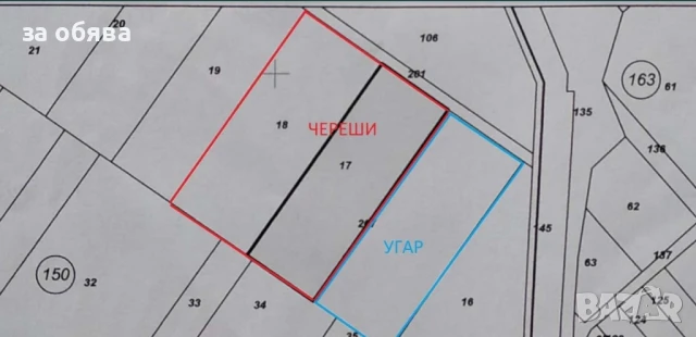 Овощна черешова градина, снимка 2 - Земеделска земя - 51227409