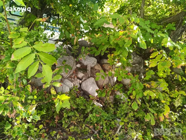 Подарявам камъни, снимка 2 - Строителни материали - 47461777