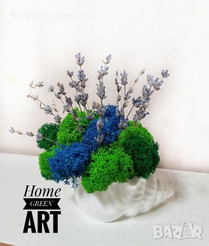 Малки керамични кашпи Раковина със скандинавски мъх, снимка 4 - Декорация за дома - 36512001