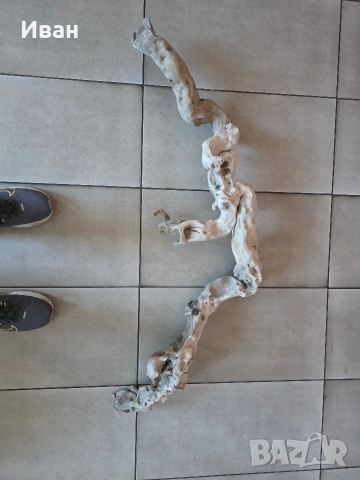 корен от дърво с камъни в него