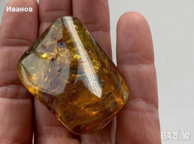 Балтийски кехлибар с отлично съхранени фосили , снимка 4 - Други - 33665443