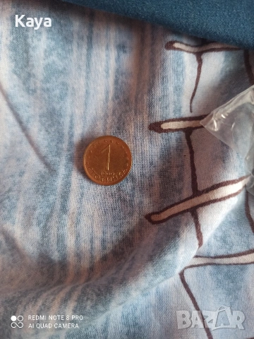 Уникални 100гр 1 стотинки , снимка 3 - Декорация за дома - 53495431