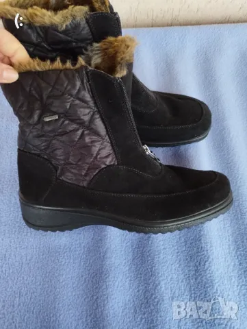 Ara coretex номер 39.