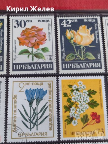 Пощенски марки  ЦВЕТЯ стари редки за колекция декорация поща България от соца 29539, снимка 6 - Филателия - 37713345