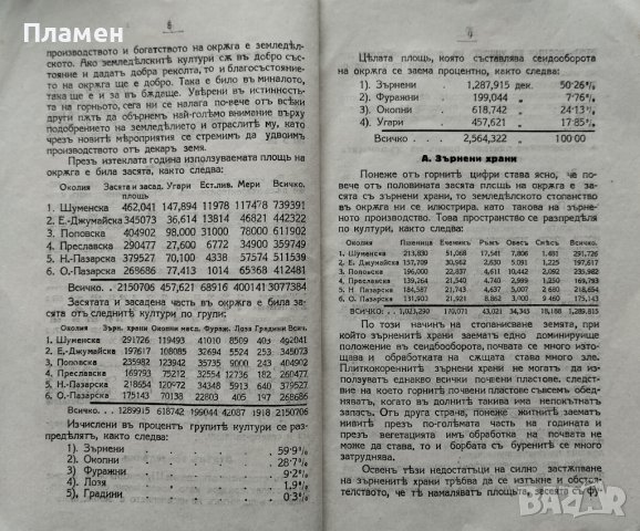 Положението на Шуменски окръгъ въ стопанско отношение презъ 1928/29 год. П. Ю. Петровъ, снимка 2 - Антикварни и старинни предмети - 40808663