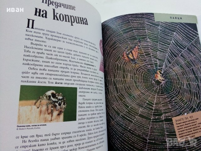 Детска Енциклопедия "Чудесата на дивата природа - библиотека Знание" - 2006 г., снимка 6 - Детски книжки - 39769625