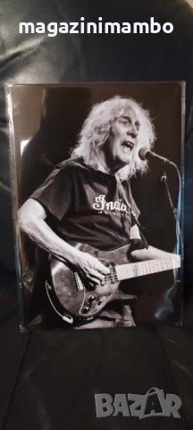 Albert Lee-метална табела (плакет)