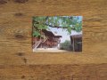 Пощенски картички от Роженският манастир от 1988 г. - нови, снимка 1 - Колекции - 27966612