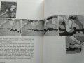 Javanese Silat: The Fighting Art of Perisai Diri Quintin Chambers, Donn F. Draeger 1979 г., снимка 5
