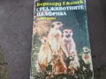 СРЕД ЖИВОТНИТЕ НА АФРИКА 1102250612, снимка 1