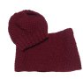 Дамски ръчно плетен комплект  : шапка и шал, снимка 1 - Шапки - 43342615