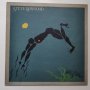 Steve Winwood – Arc Of A Diver, снимка 1 - Грамофонни плочи - 44054060