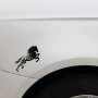 Качественни водоустойчиви винилови стикери лепенки конче за кола автомобил джип ван бус камион + под, снимка 4