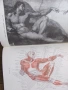 Книга Пластическая анатомия и изображения человека, 1985г., снимка 3
