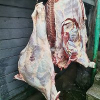 Продавам телешко месо от собствени животни