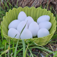 Великденски керамични яйца за оцветяване, украса и декорация , снимка 1 - Декорация за дома - 44909650