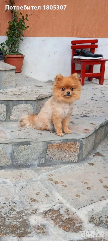 продавам, снимка 1