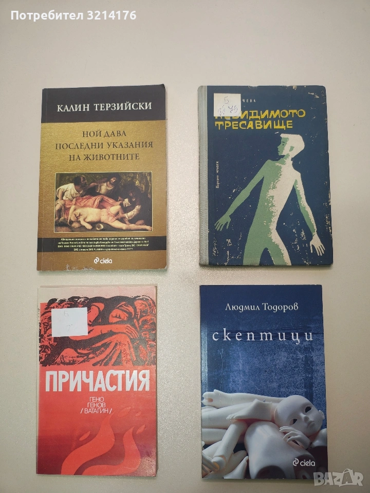 Ной дава последни указания на животните - Калин Терзийски, снимка 1