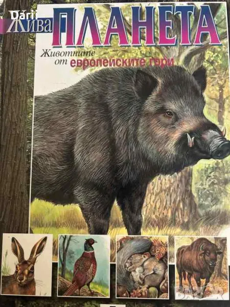 Жива планета: Животните от европейските гори, снимка 1