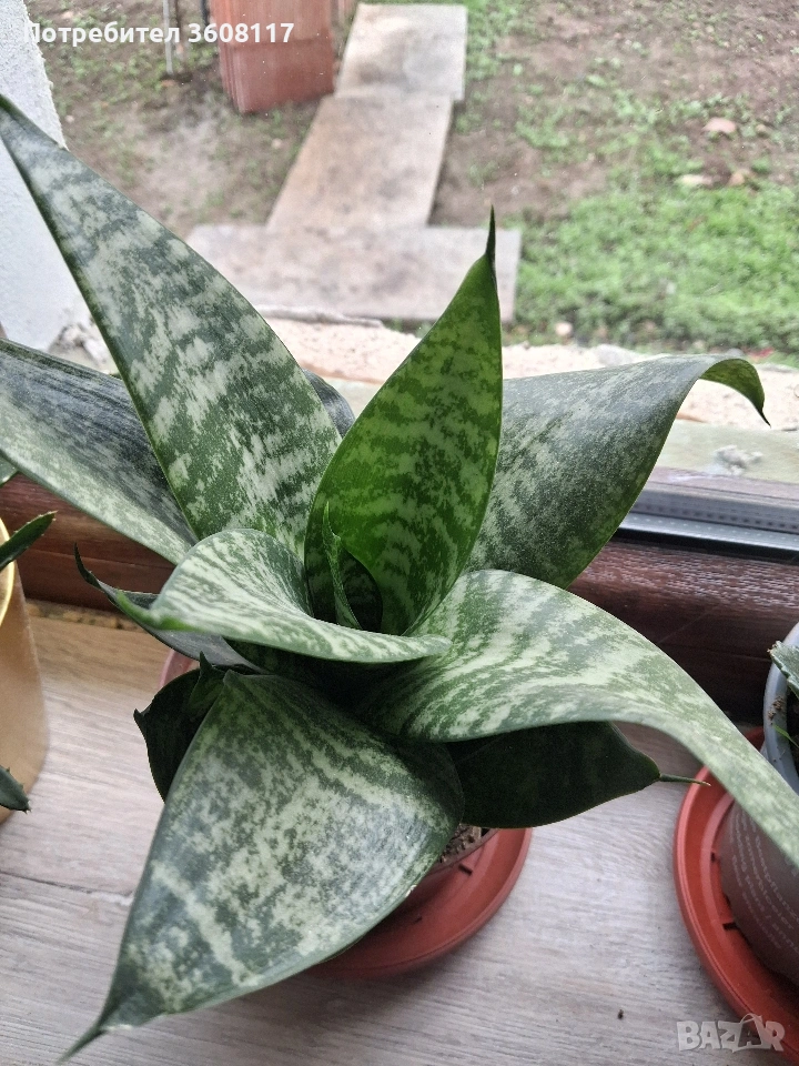 меч, снимка 1