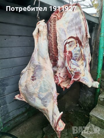 Продавам телешко месо от собствени животни, снимка 1 - Крави - 38913837
