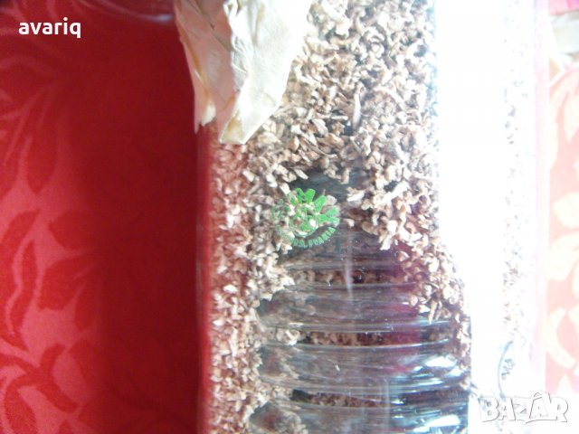  Лабораторна стъклария simax Хладник Чехословакия, Хладник за вакуум изпарителна уредба, снимка 3 - Лаборатория - 32409769