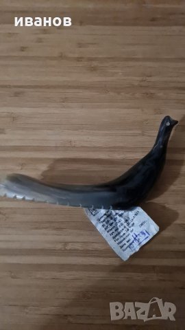 Сувенир от рог, снимка 3 - Декорация за дома - 32454529