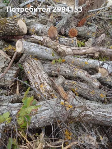 дървен материал орехи, снимка 3 - Други - 47606858