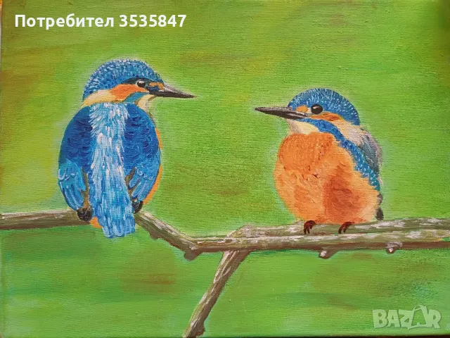 нови , снимка 3 - Картини - 47333630