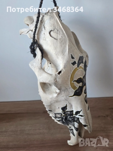 Конски череп за декорация - ръчно рисуван, снимка 10 - Декорация за дома - 51777796