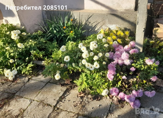 Продавам къща с двор, снимка 8 - Къщи - 36522393