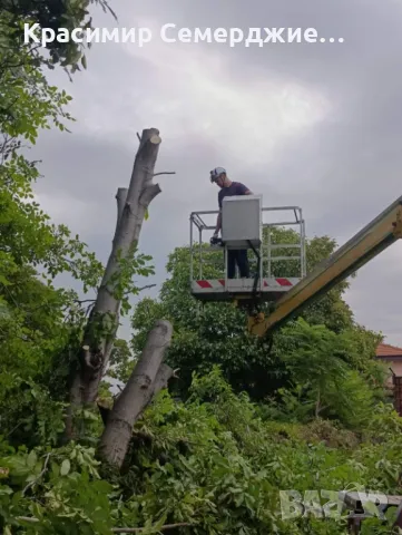 Рязане, кастрене и премахване на опасни и високи дървета в Пазарджик и околността, снимка 5 - Други услуги - 48948613