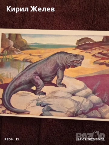 От ДЪЛБИНИТЕ на ВЕКОВЕТЕ фотографии редки за КОЛЕКЦИЯ ДЕКОРАЦИЯ 7416, снимка 5 - Колекции - 51882722