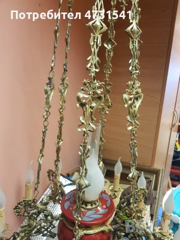 Полилей, снимка 6 - Полилеи - 53398820