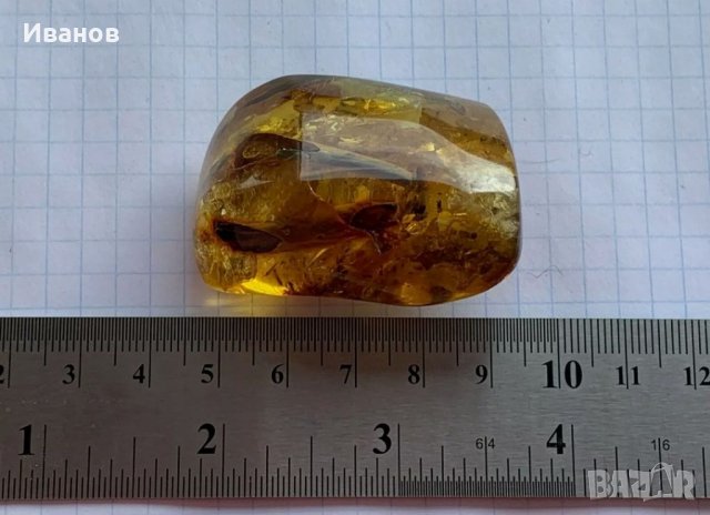 Балтийски кехлибар с отлично съхранени фосили , снимка 7 - Други - 33665443