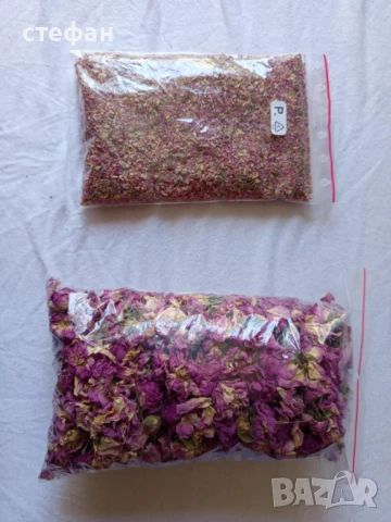 Продавам Сладък пелин-сух и разсад, снимка 4 - Разсади - 38536695